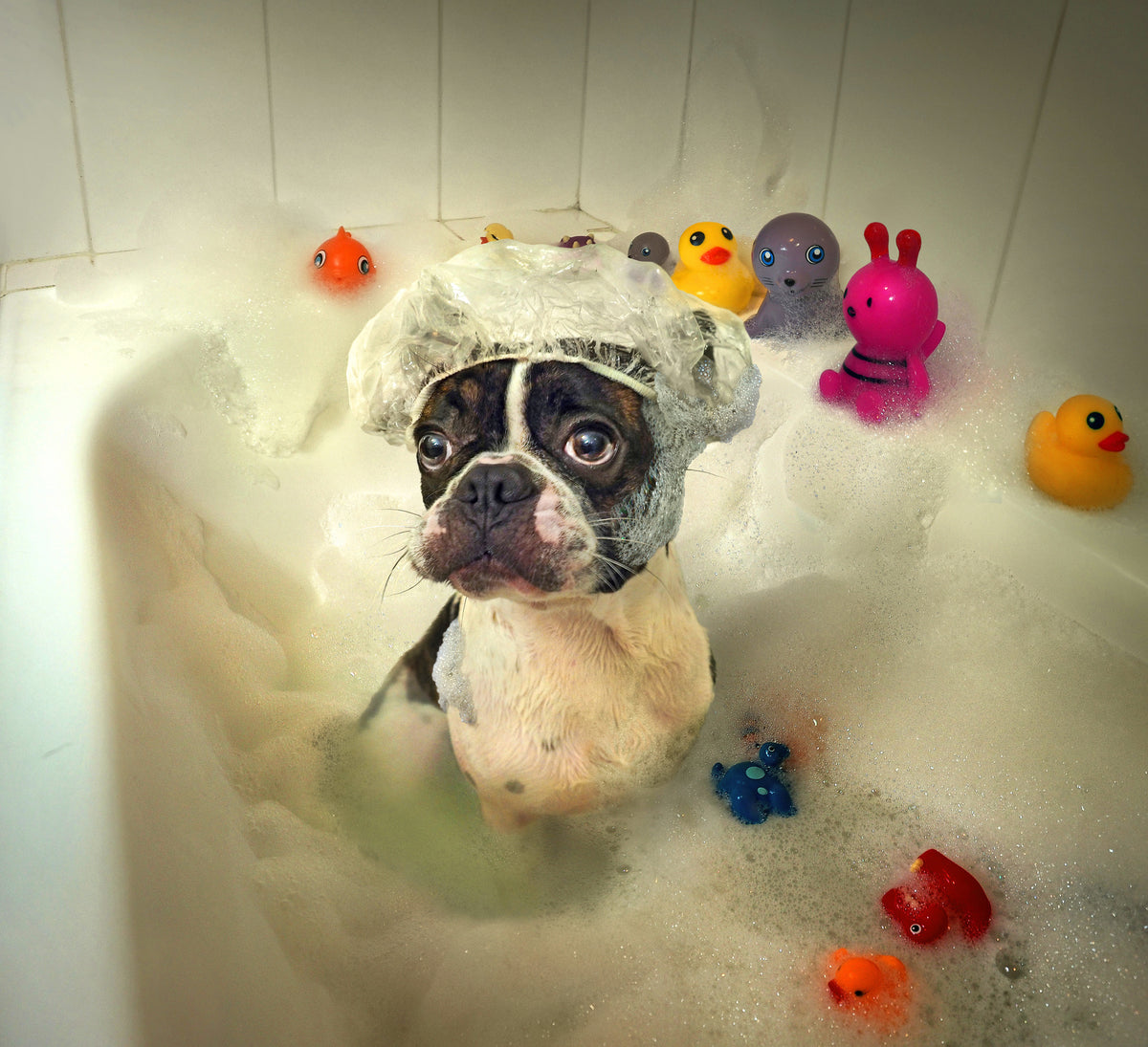 4-piece-canvas-print-the-bath