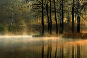 canvas-print-silent-light-x
