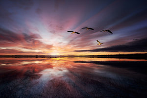 canvas-print-morning-mood-x