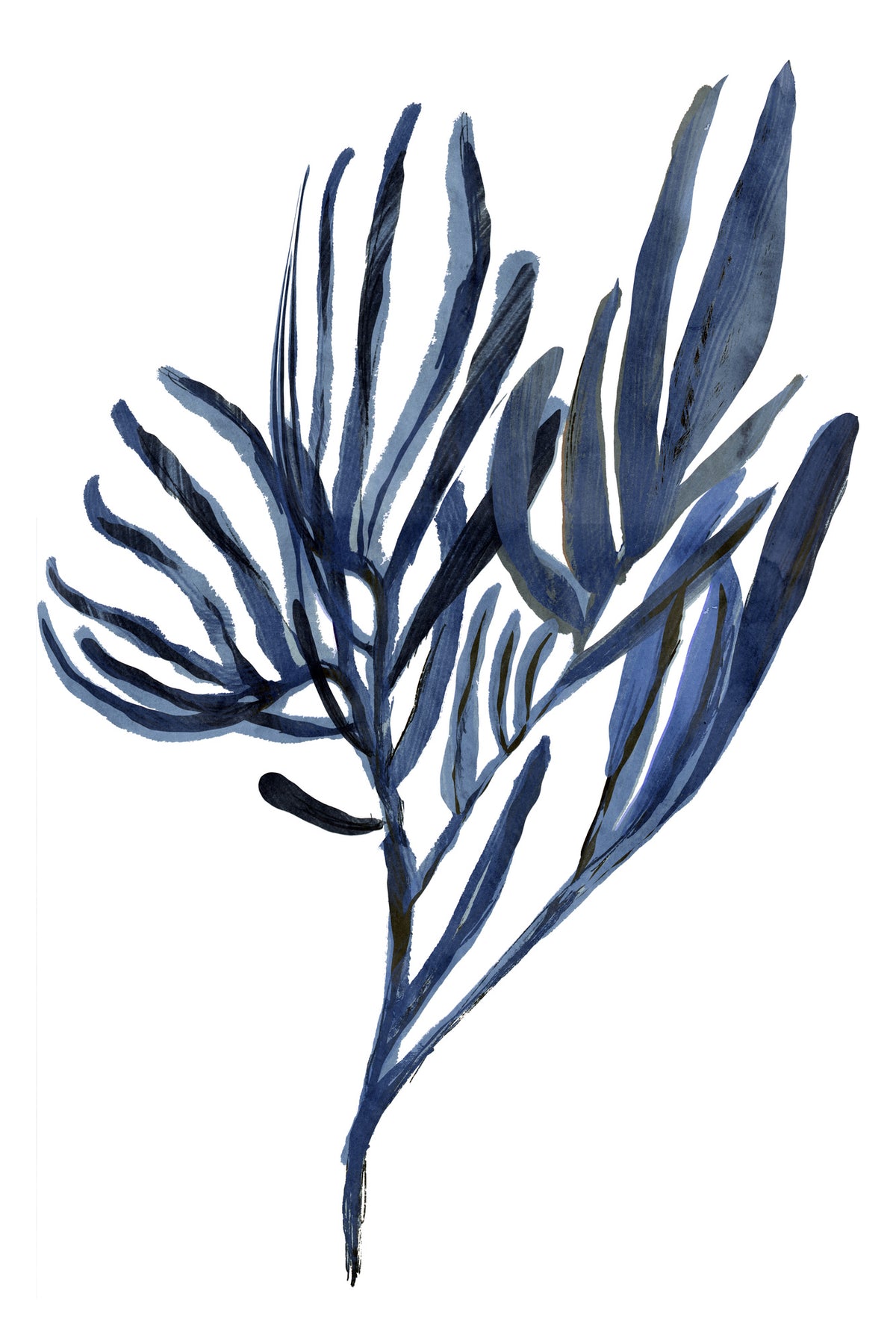 framedposter-print-blue-aquatic-plant-poster-2