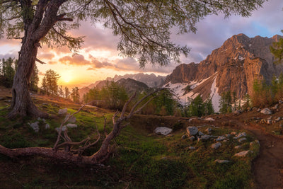 poster-print-magical-morning-xzs
