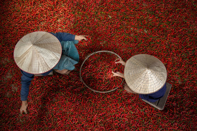 poster-print-chilli