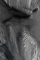 poster-print-zebra-flowform