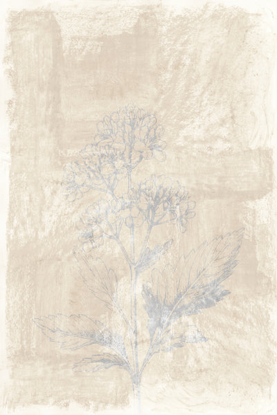 poster-print-woodsia-3