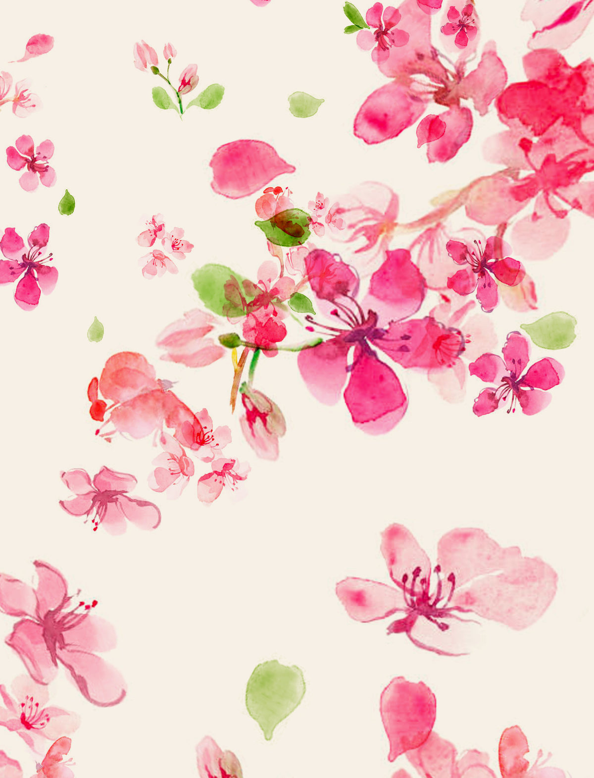 acrylic-print-petals-in-bloom