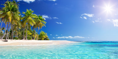 poster-print-palm-beach-in-a-tropical-paradise