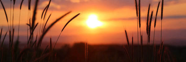 panoramic-3-piece-acrylic-print-adorable-sunset-panorama