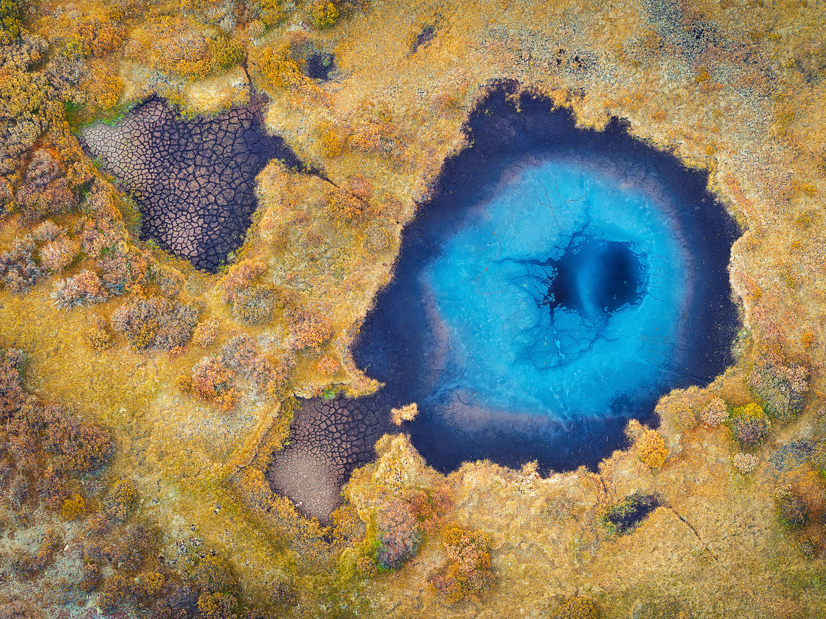 framedposter-print-pufferfish-swimming-in-autumn