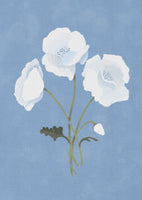 acrylic-print-white-on-blue