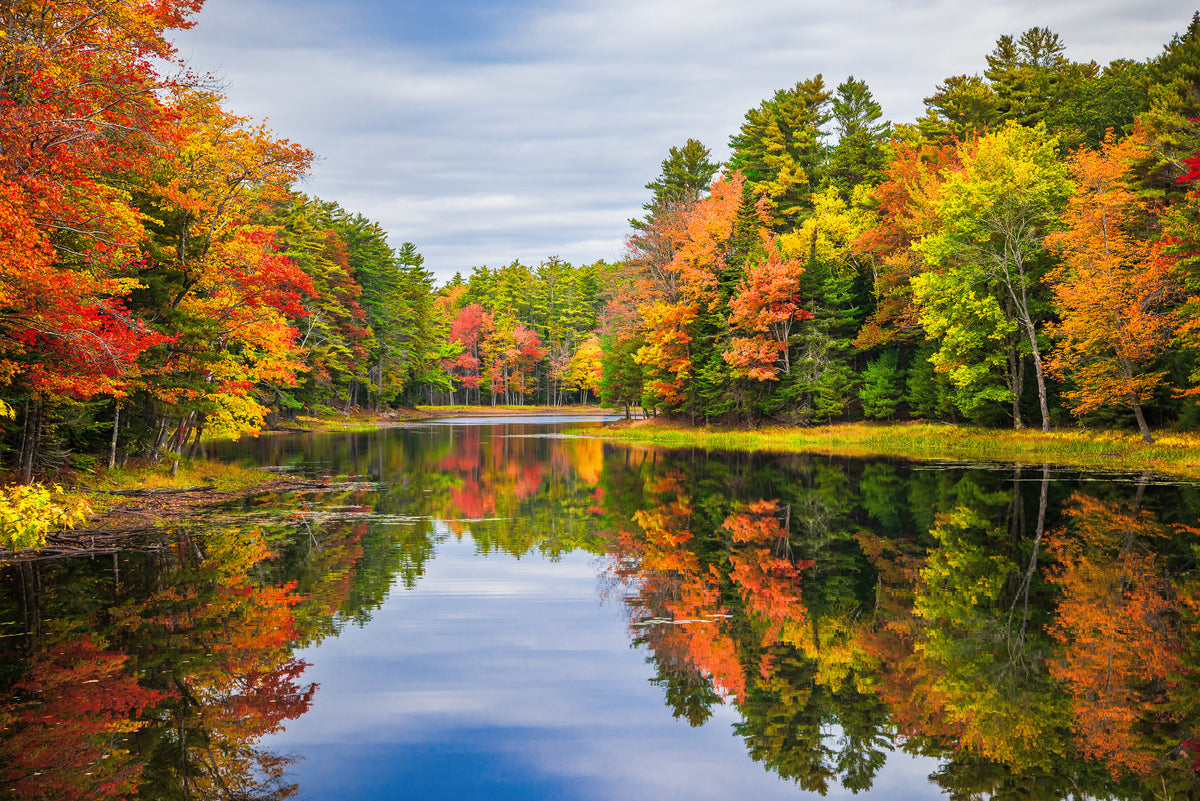 modern-3-piece-canvas-print-colorful-foliage-at-the-pond