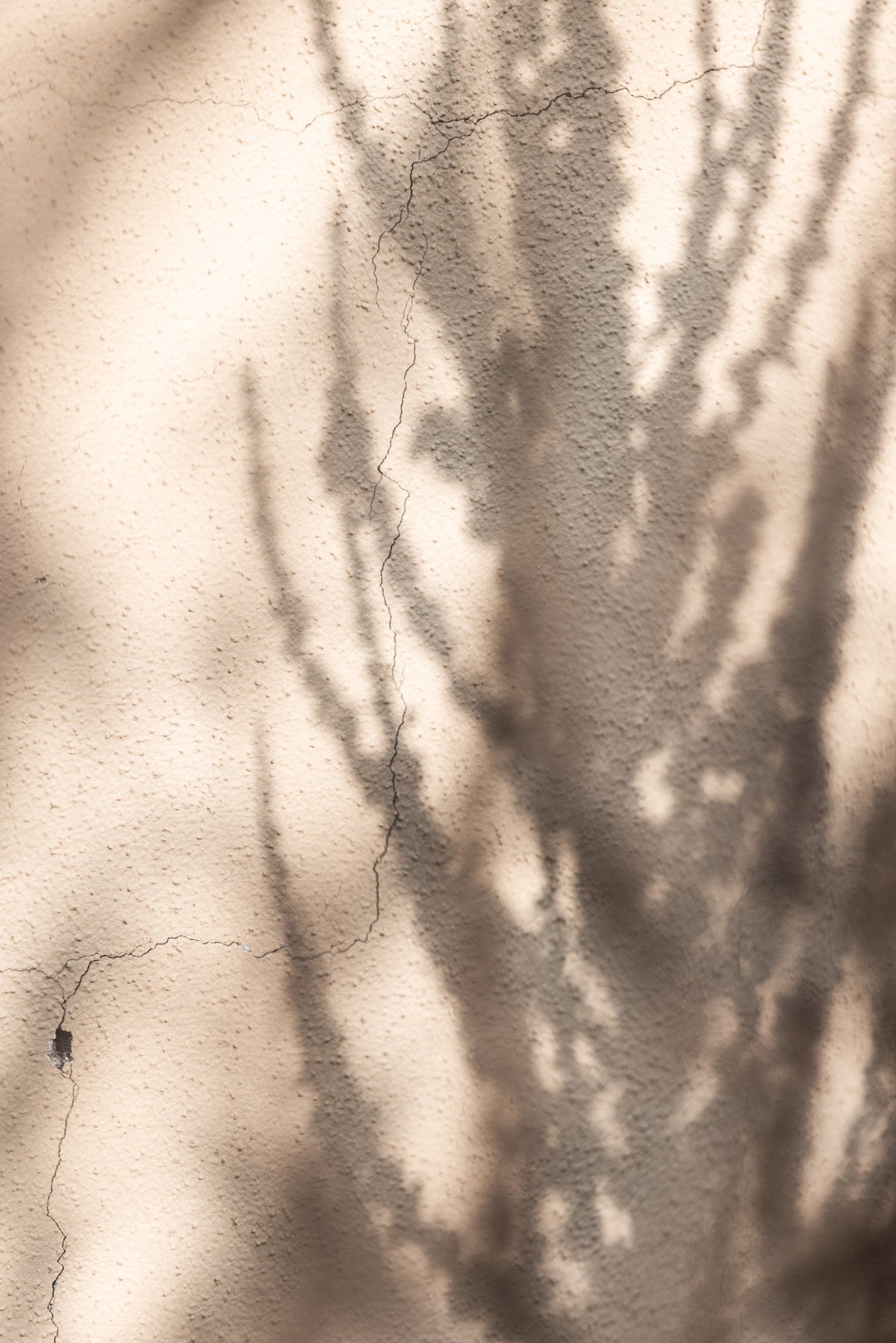 canvas-print-summer-shadows-7