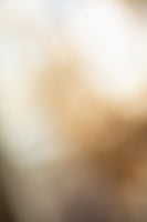 framedposter-print-blurred-10
