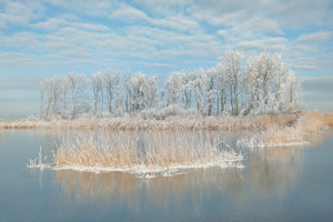 framedcanvas-print-winter-xfq