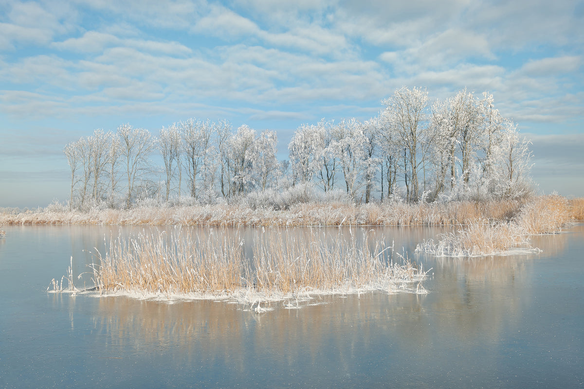 framedcanvas-print-winter-xfq