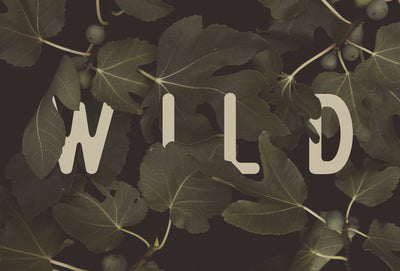 poster-print-wild-n2
