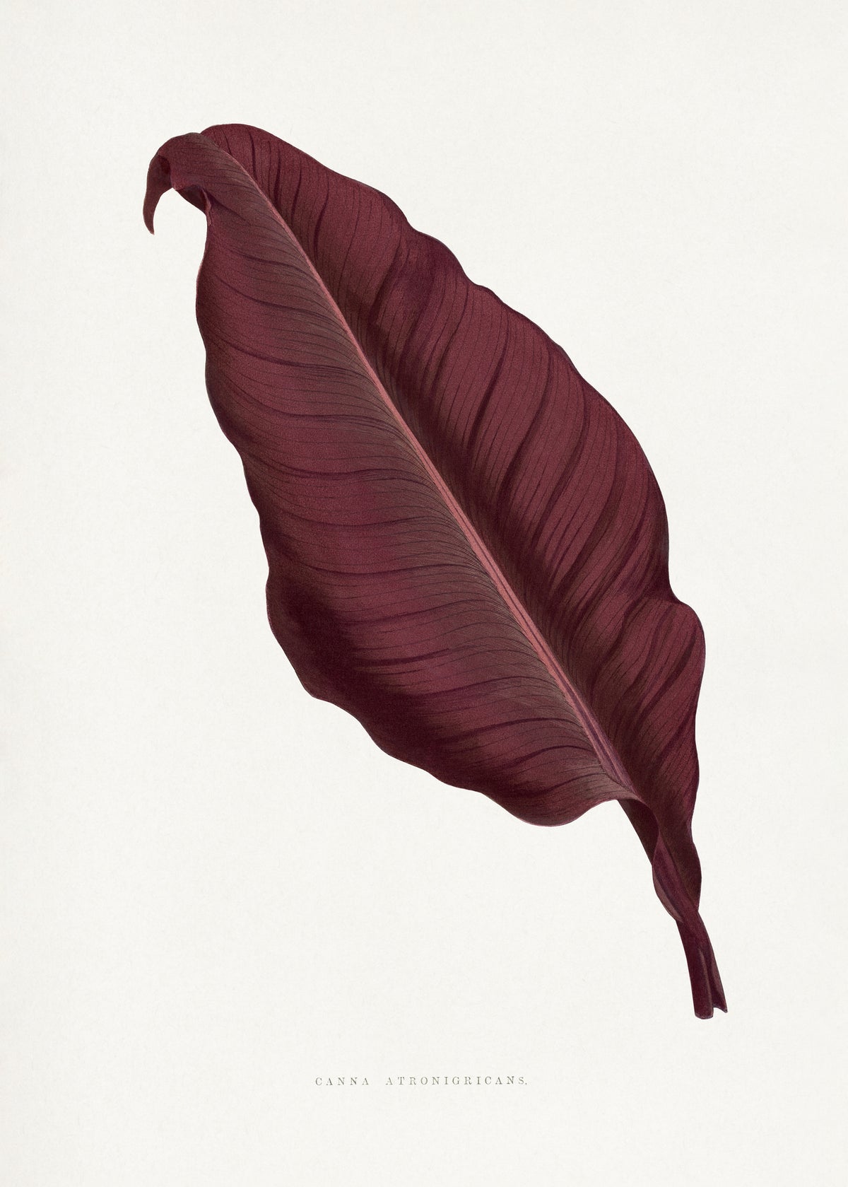 aluminium-print-floral-splendor-in-soft-autumn-tones