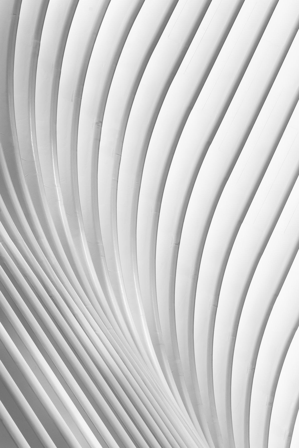 acrylic-print-calatrava-lines-x