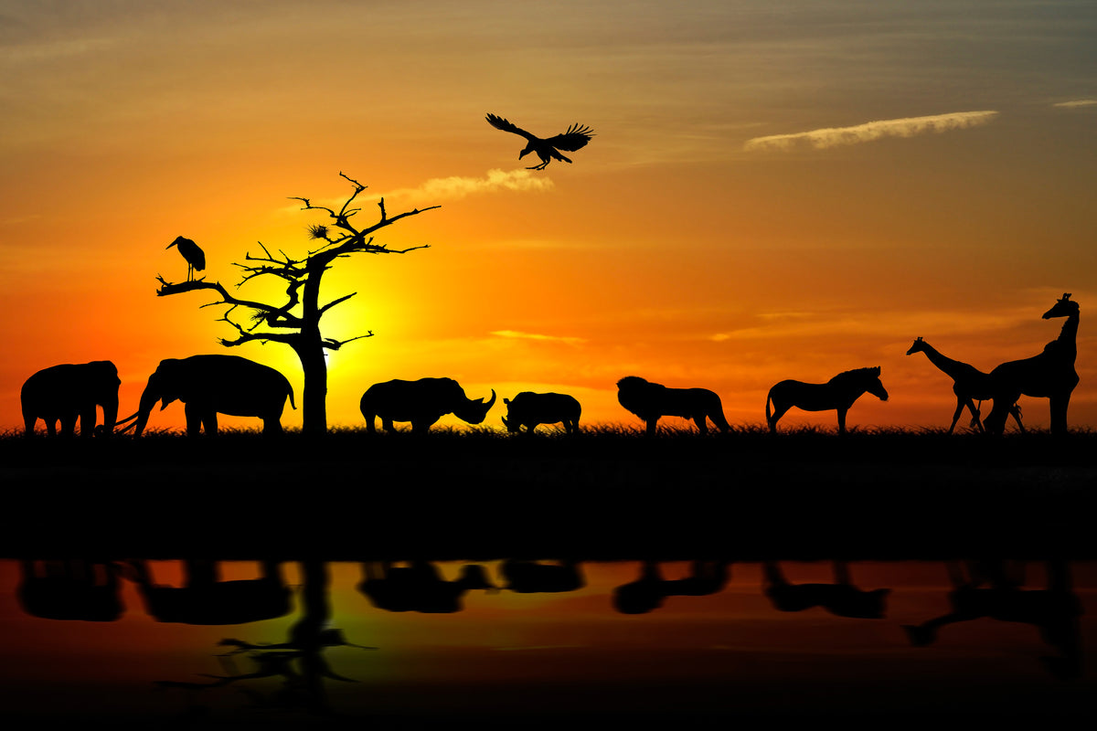 modern-3-piece-canvas-print-safari-animals-at-sunset
