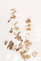acrylic-print-eucalyptus-creative-gold-03