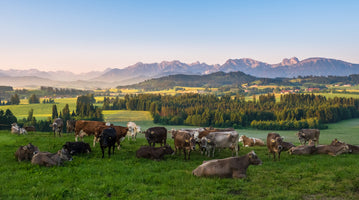 poster-print-the-allgaeu