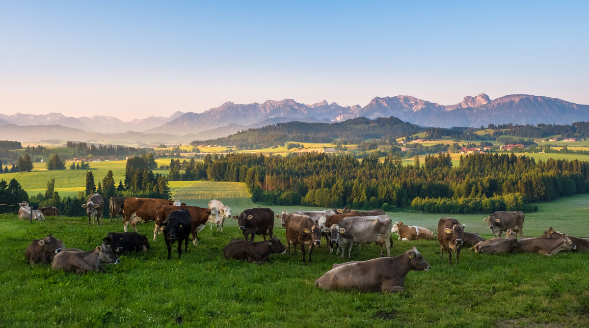 poster-print-the-allgaeu