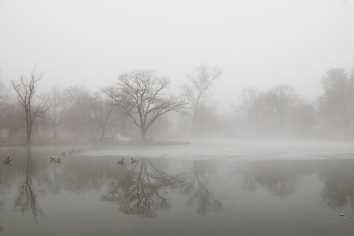 canvas-print-untitled-xiii