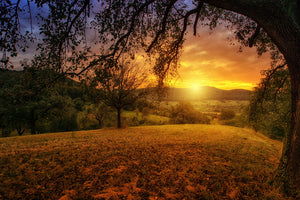 modern-3-piece-acrylic-print-a-landscape-in-the-sunset