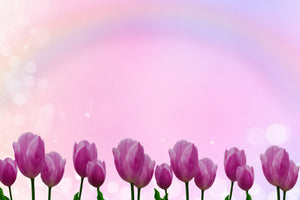 framedposter-print-sweet-tulips