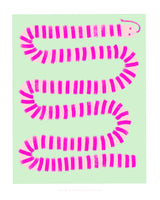 acrylic-print-pandc-pinksnake