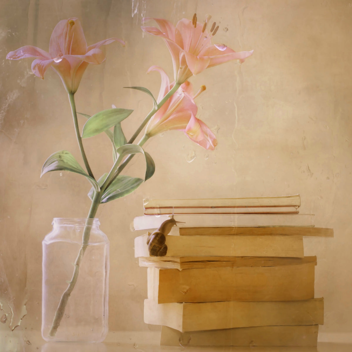 4-piece-acrylic-print-slowly-but-surely