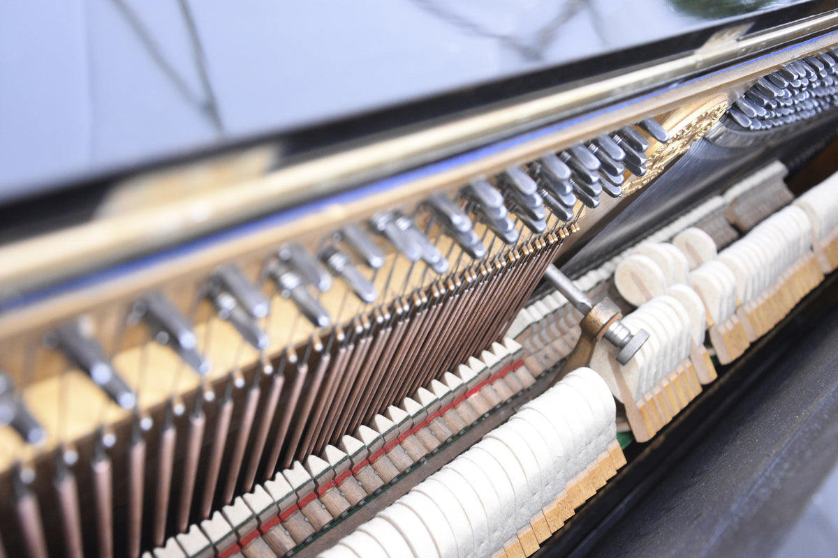 3-piece-acrylic-print-piano-action