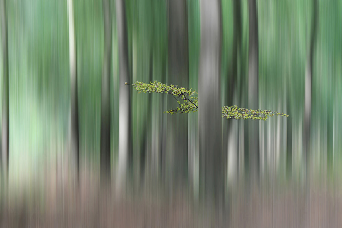 3-piece-acrylic-print-summermorning