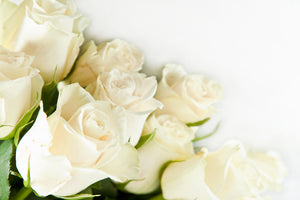 modern-3-piece-aluminium-print-white-roses