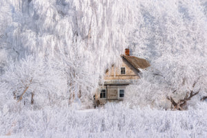 canvas-print-winter-tale-x