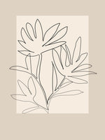 framedposter-print-floral-outline