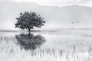 aluminium-print-spring-mirror