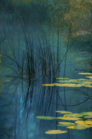 acrylic-print-aqua