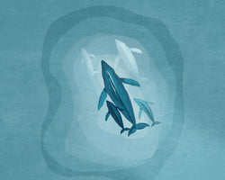 framedposter-print-gentle-giants-swim