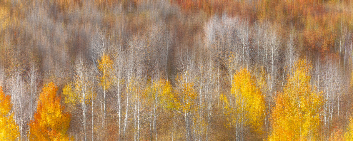 panoramic-aluminium-print-autumn-painting