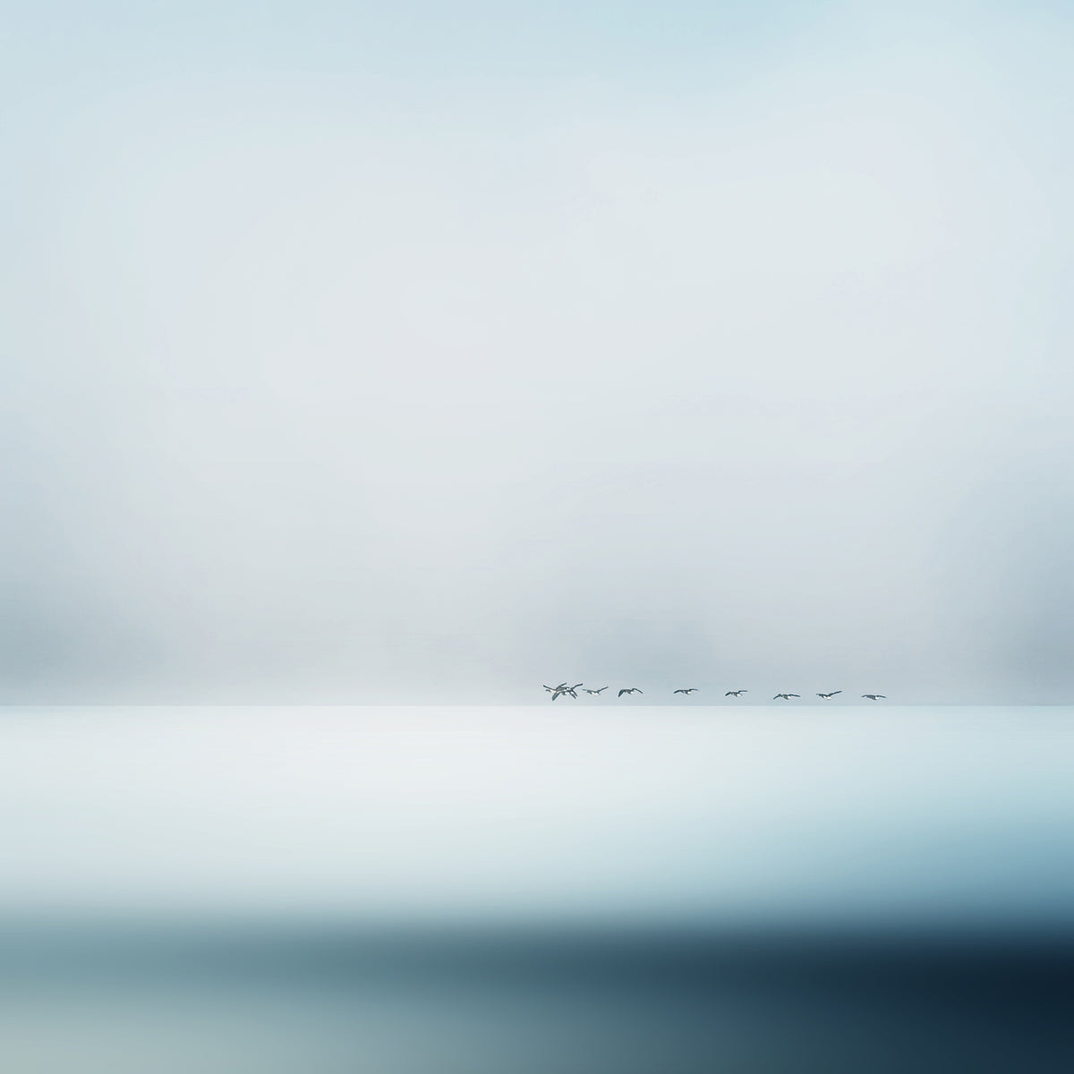 4-piece-acrylic-print-wild-geese
