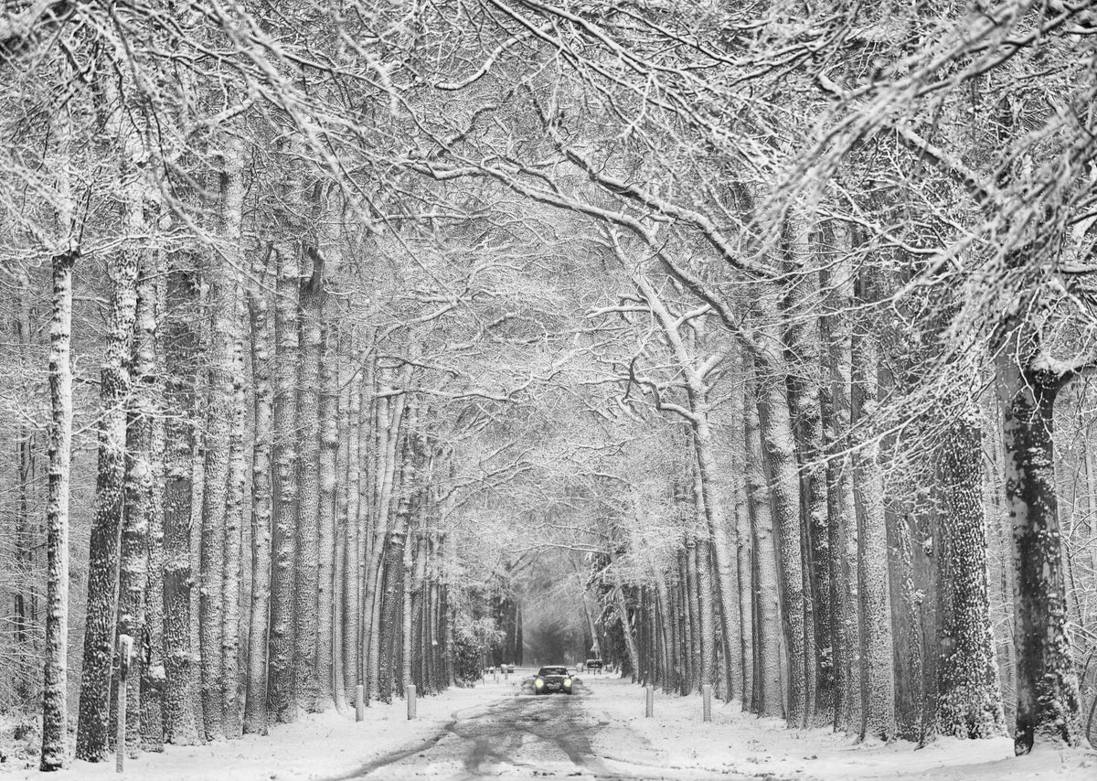 4-piece-canvas-print-winter-mood-2