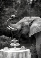 canvas-print-elephants-afternoon-tea