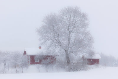 poster-print-winter-idyll-x