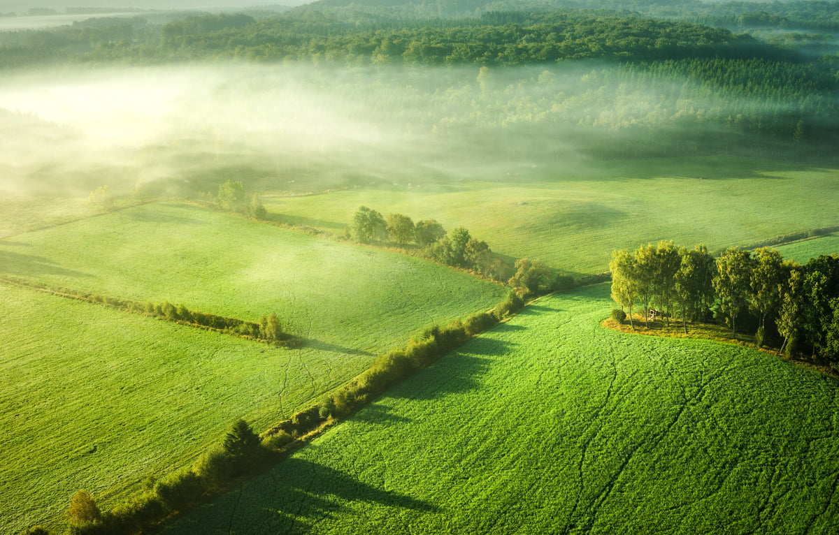 canvas-print-above-the-mist