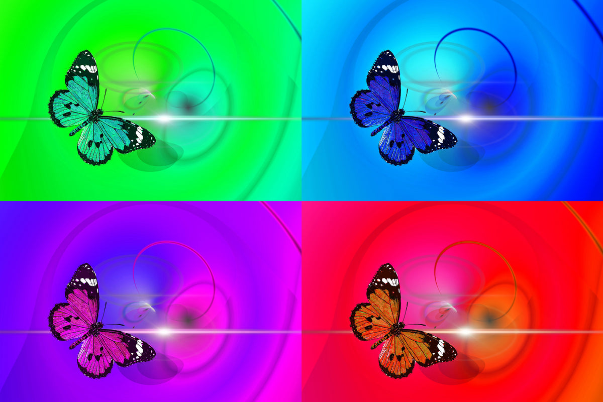 framedcanvas-print-pop-art-colorful-butterfly