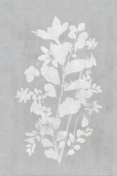 poster-print-botanical-illustration-2