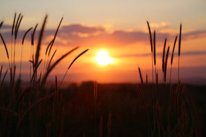 framedcanvas-print-adorable-sunset