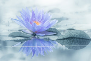 aluminium-print-reflection-xus
