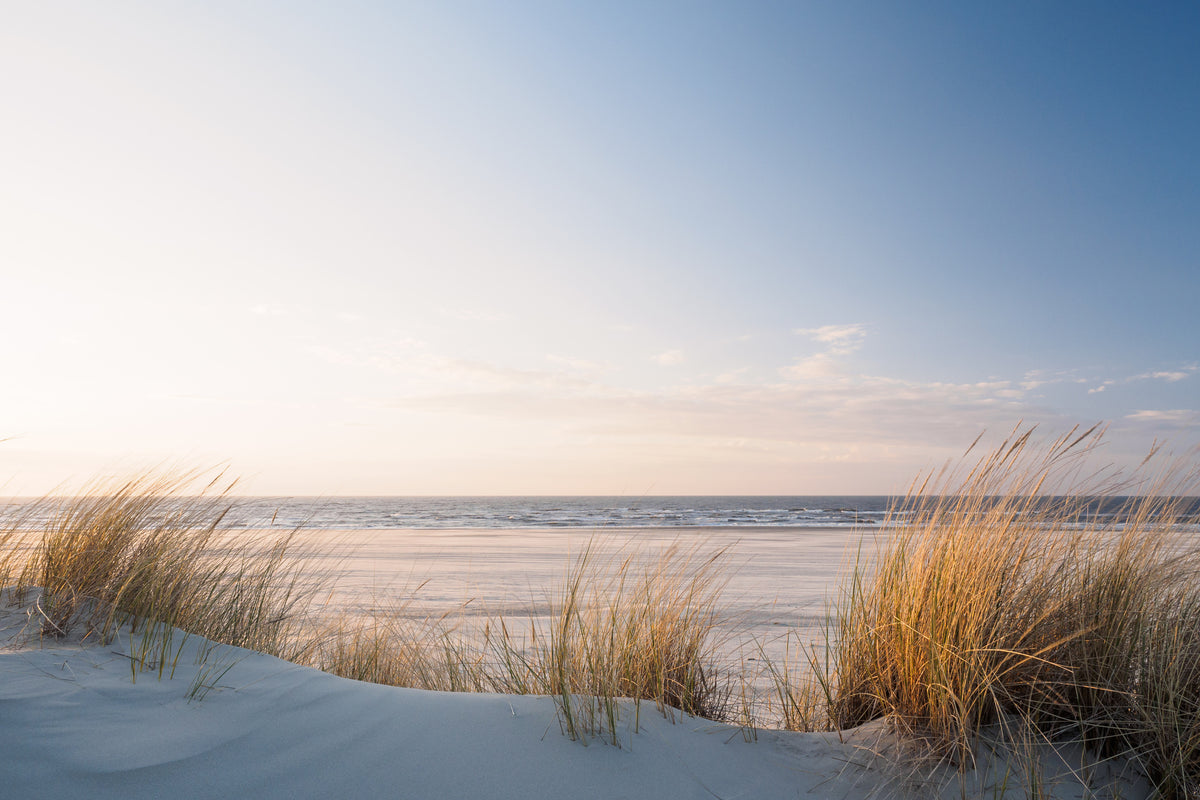 3-piece-canvas-print-golden-dune-grass-at-the-beach