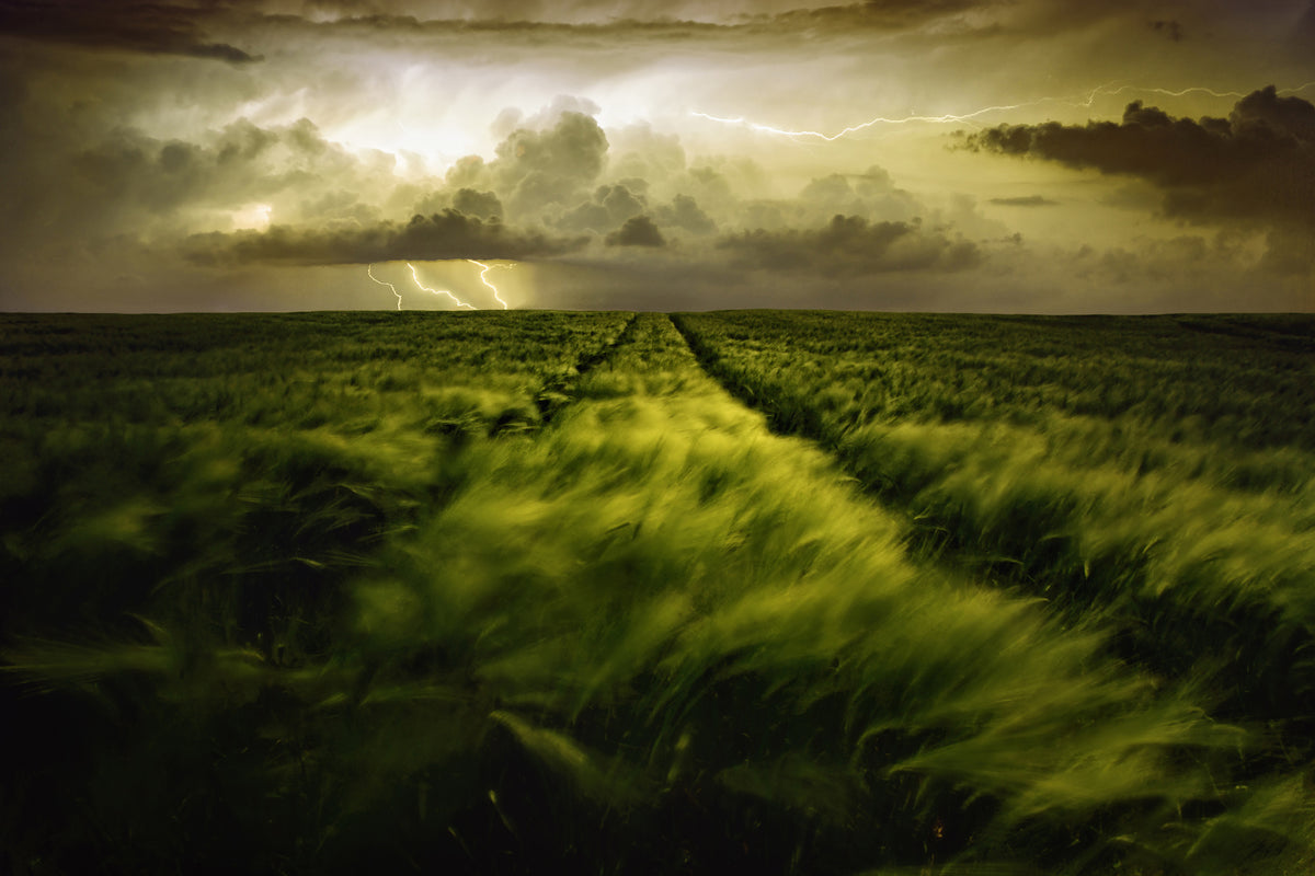 aluminium-print-journey-to-the-fierce-storm